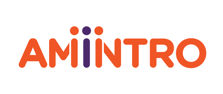 https://amintro.com/
