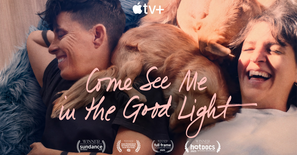 Come See Me in the Good Light movie poster