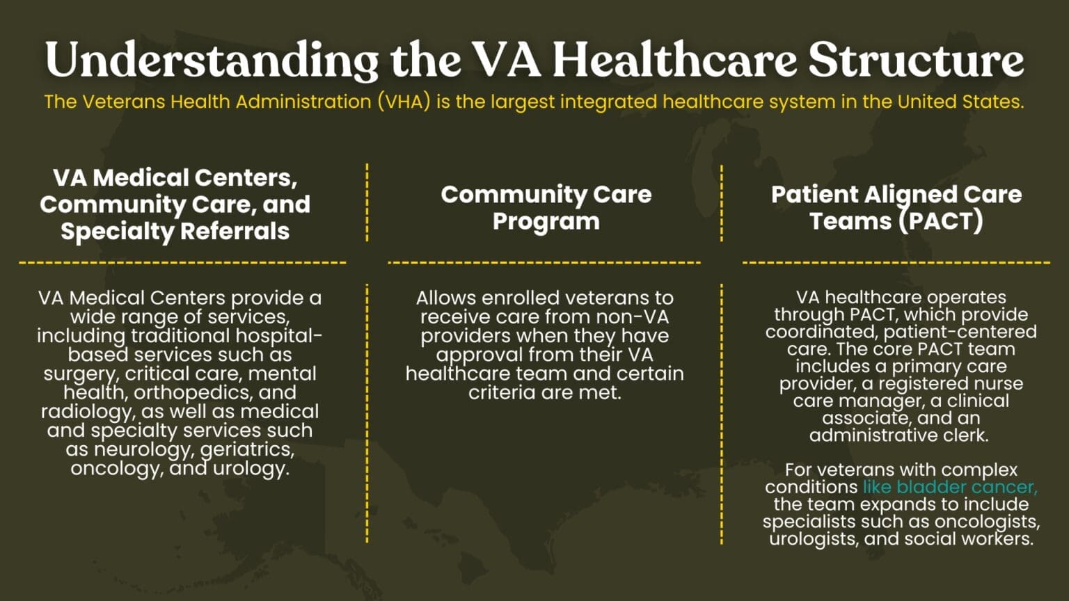 New Va Rise Structuremap Understanding the VA Healthcare Structure | Caregiver Action Network